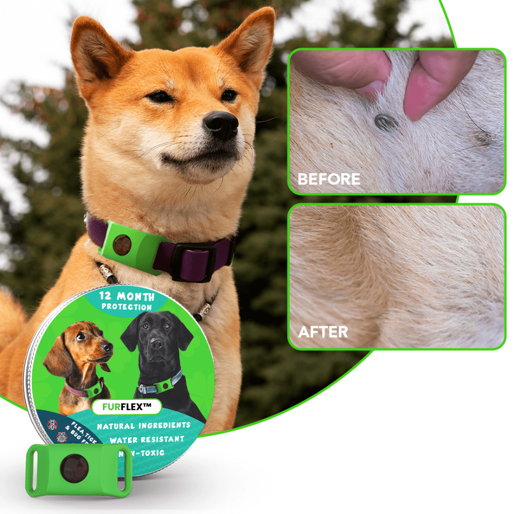 FurFlex™ 12 Months Flea and Tick Free