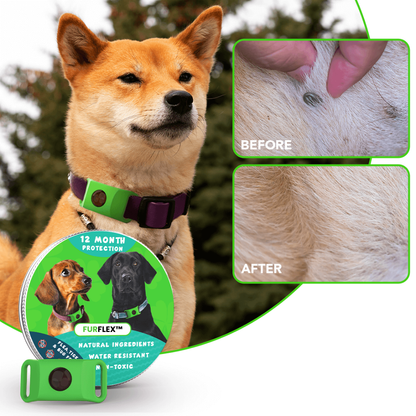 FurFlex™ 12 Months Flea and Tick Free