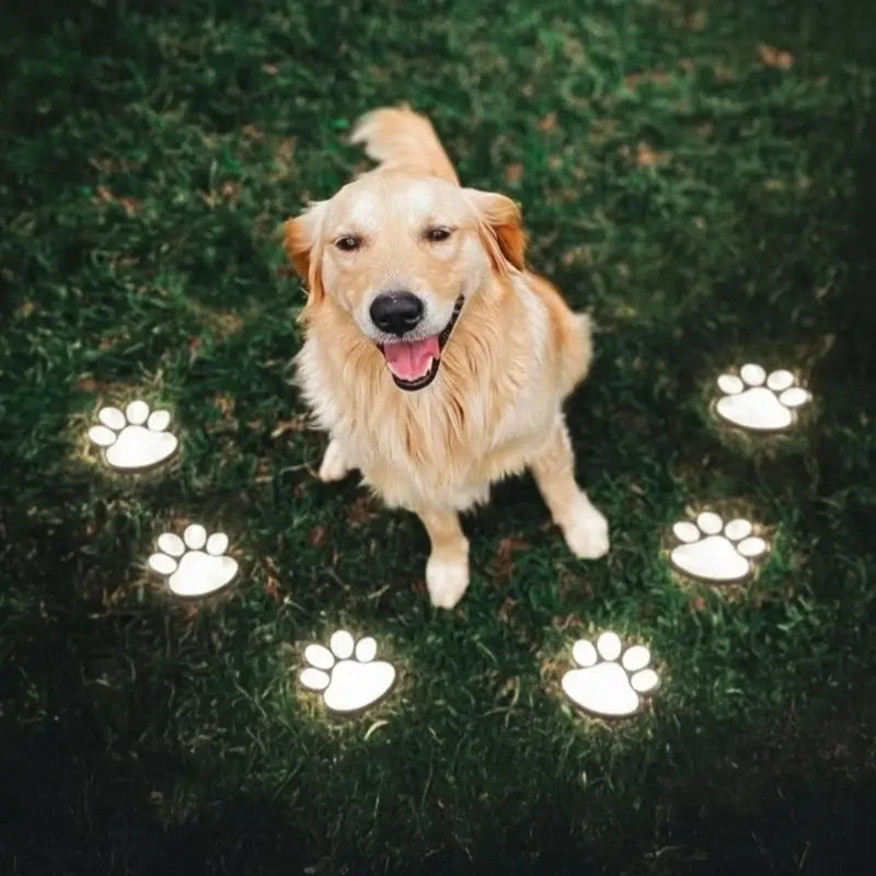 PawSpark™ LED Solar Paw Light For Pet Lovers with Auto Activation